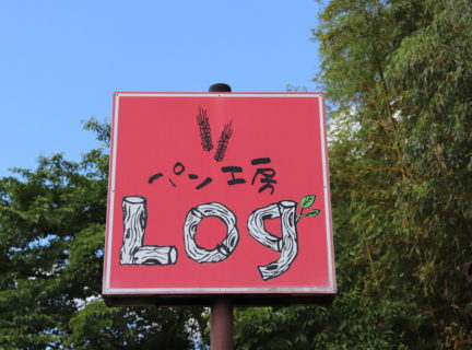 Log_1 (20)