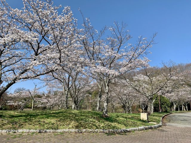 三田谷公園